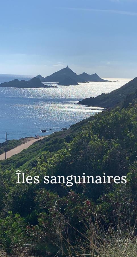 Magnifique Appartement Vue Mer, Spacieux Et Traversant Ajaccio  Buitenkant foto