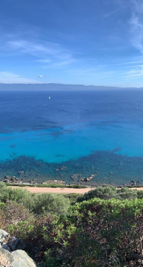 Magnifique Appartement Vue Mer, Spacieux Et Traversant Ajaccio  Buitenkant foto
